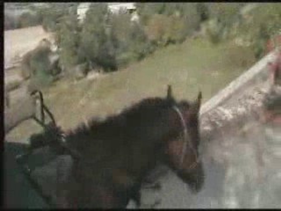 rando pic du pal ( 1ere partie)