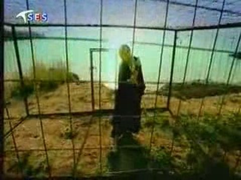 zara - ekrem düzgünoğlu - bir fırtına tuttu bizi