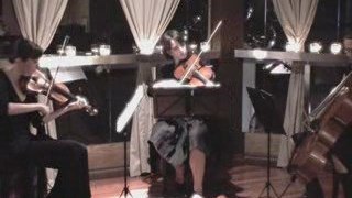 String Quartets and Trios Toronto - www.fusion-events.ca -