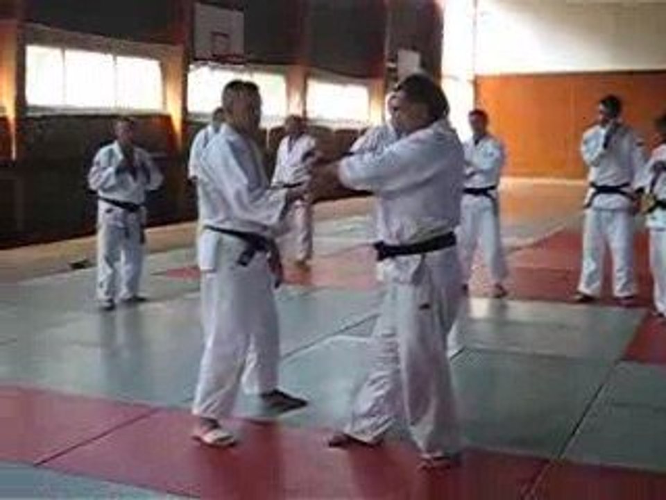 Boulouris ju-jitsu 09 071