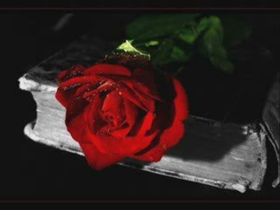 Aida Cara - Zemer e malkuar