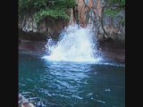 Cliff jumping (Koh Phi Phi Leh - South Thailand)