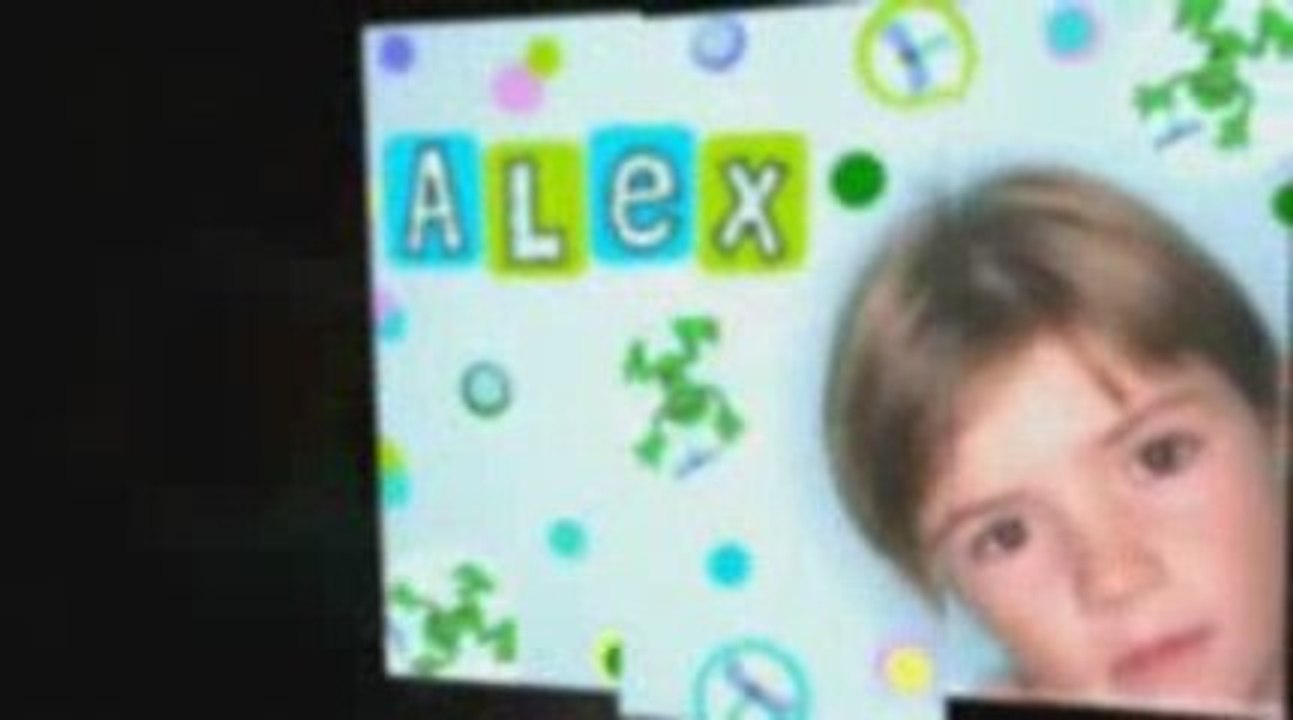 Cutest Unique Circle Decals for Walls