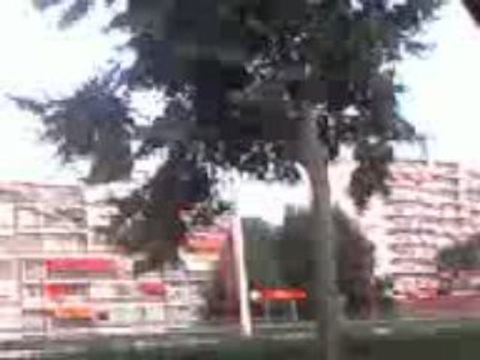 speedcore dans ROTTERDAM le 14/08/09