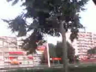 speedcore dans ROTTERDAM le 14/08/09