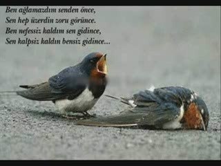 Bırakmadı Sevdan Beni