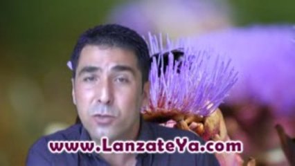Funciones Empresariales Invertir Diversificar Delegar ...