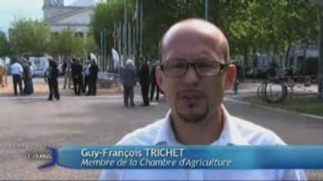 Les bovins s'invitent place Napoléon (La Roche-sur-Yon)