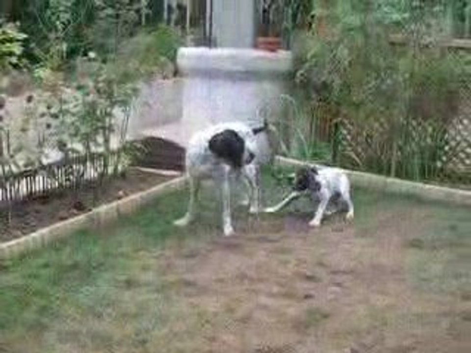 Entente cordiale.