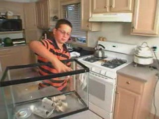 Science Fair Winners Bug Science Karen Romano Young ...