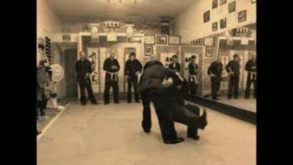 Bujinkan Nage Waza