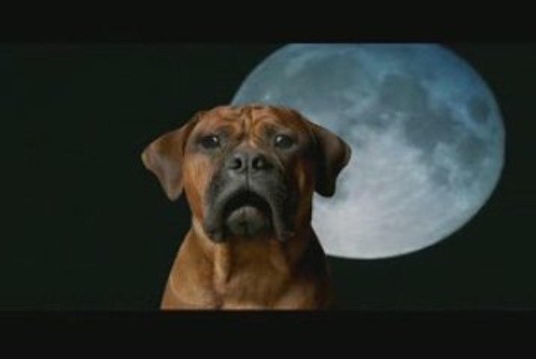 Balada COMPLETA del perro enamorado ONO