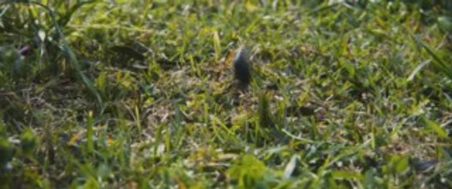 THE FINAL DESTINATION DEATH SAVED THE BEST FOR 3D