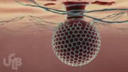 HCV life cycle (Work in progress)