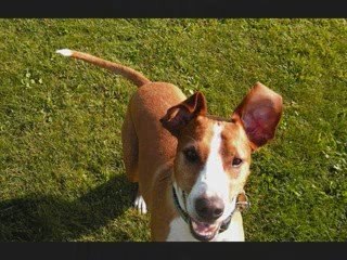 Why I love Point Pleasant Park