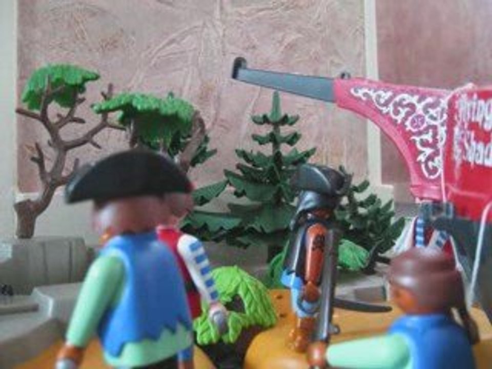 pirate of playmobile