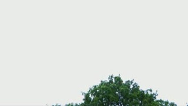 The Hunt-The Wankin' Noodles Clip