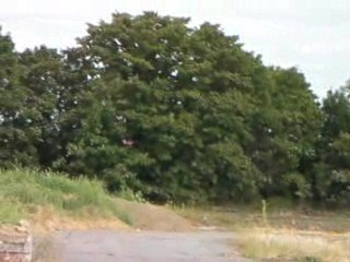 Méru (oise)  : "Halte au massacre des arbres!"