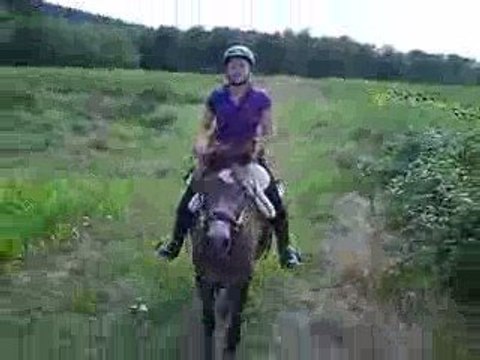 Bahia, 4e séance du débourrage...