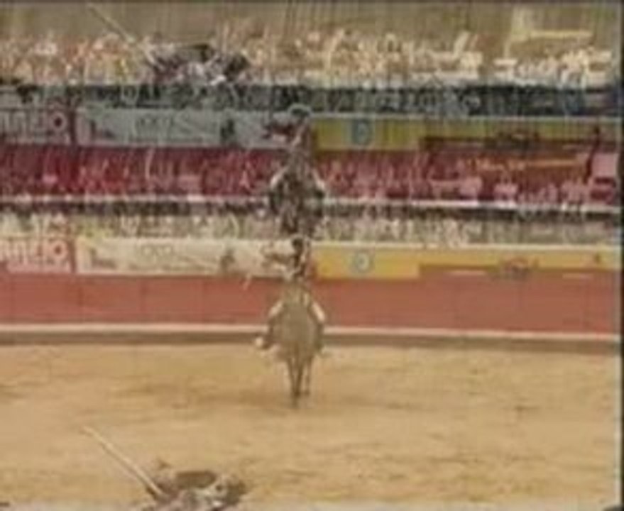 alternativa de vitor ribeiro