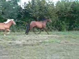 Le blondiné et le ténébreux