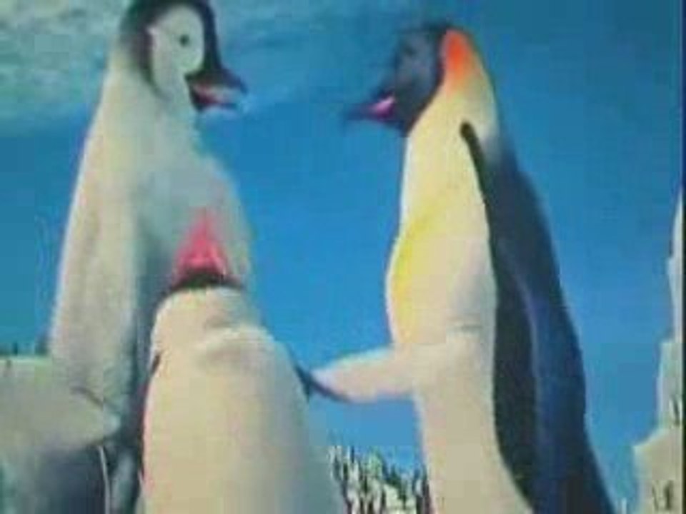 Horon oynayan penguen hayvan ve hayvanlar