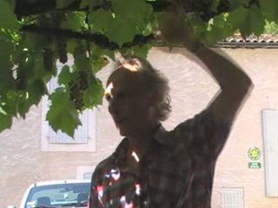 Les plantes et la préhistoire