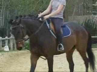 Mes chutes de Jour de Mai.