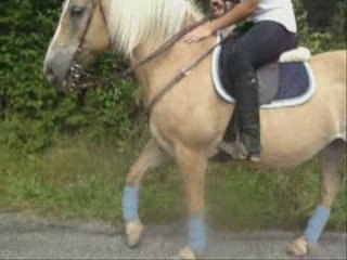 Le retour de La Team Chipo'