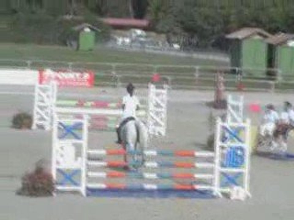 Sologn' Pony 2009 Hofanny