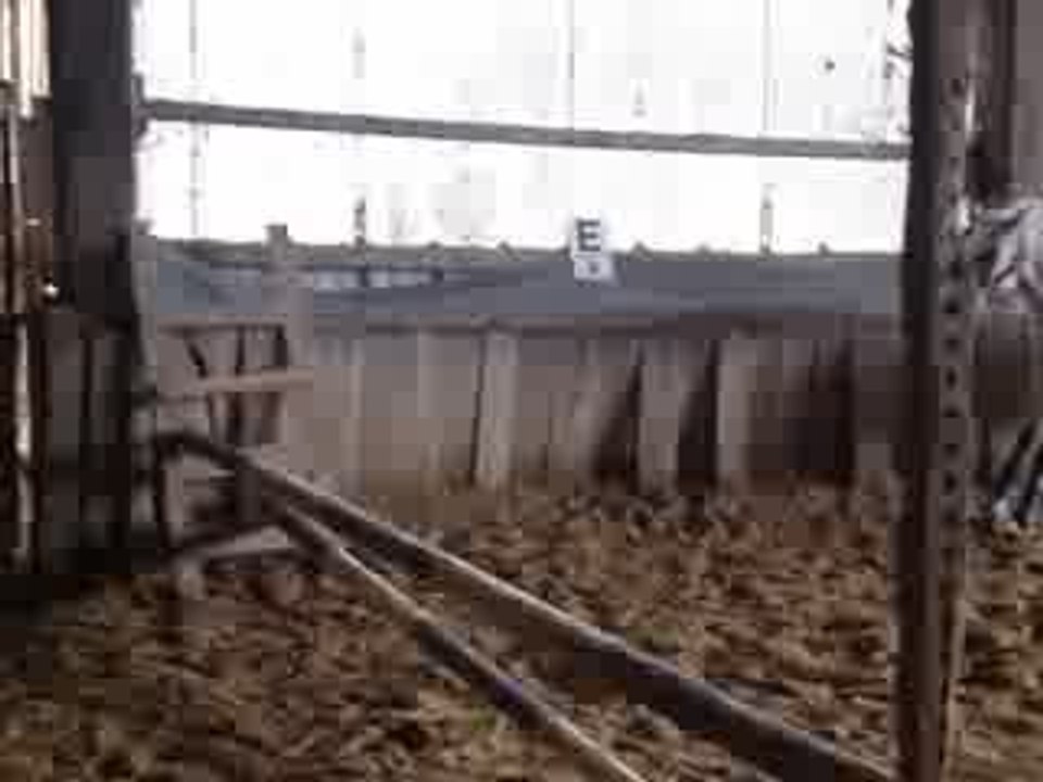 plume  toujour du saut