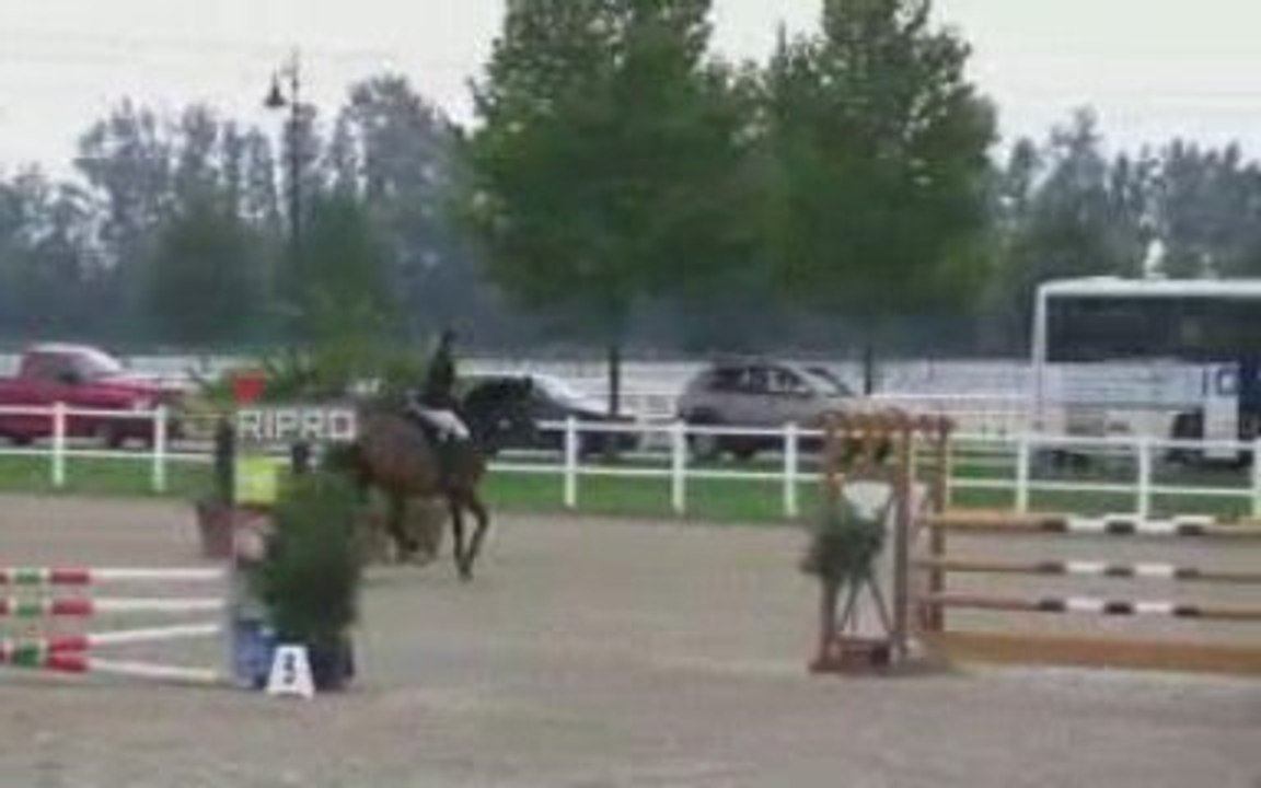 Carlos Boy WZ, Stilspringen E (4-5jährige)