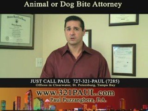 Injury Attorney Clearwater