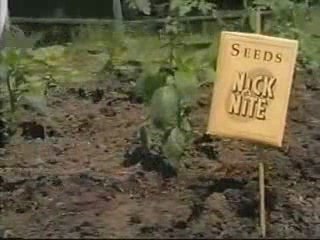 Nick at Nite Bumper- Garden