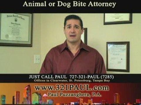 Clearwater Persoinal Injury Attorneys