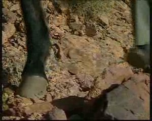 Les derniers nomades du Saghro