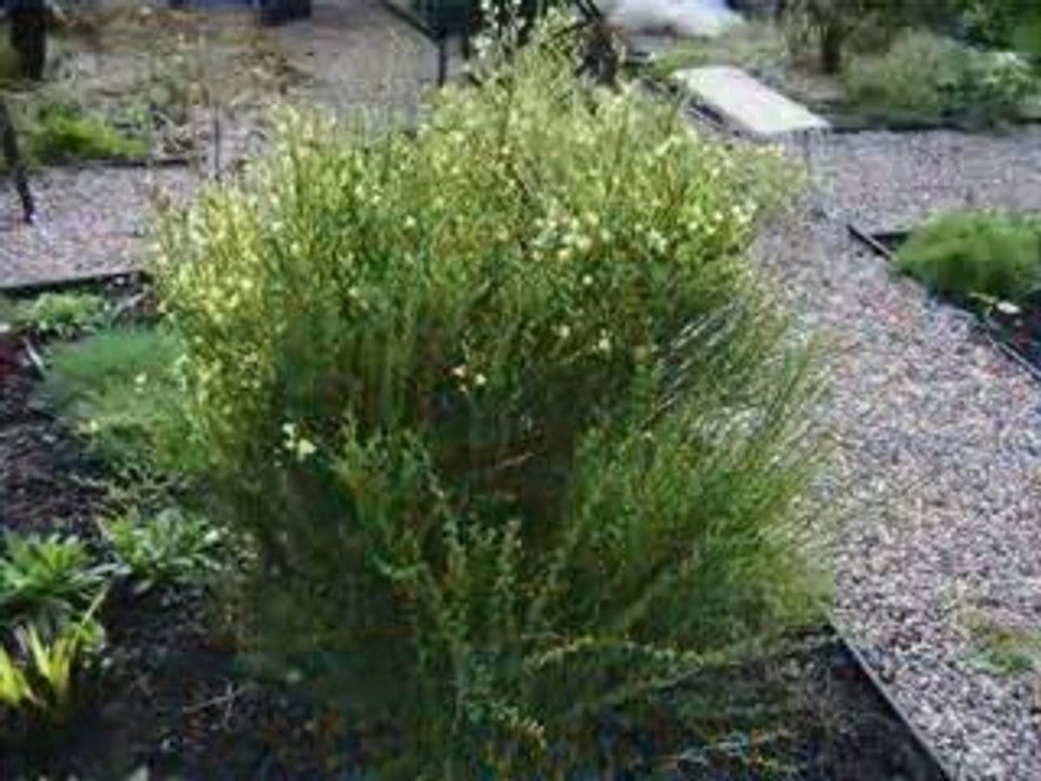 DIS NOUS COMMENT ETRE HEUREUX