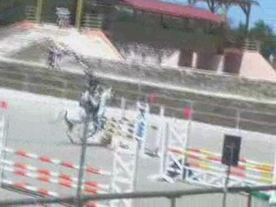 Sologn' Pony 2009 D2p gp