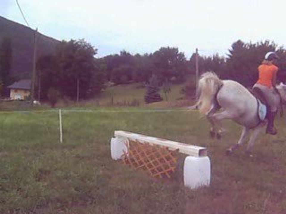 obstacle regardant