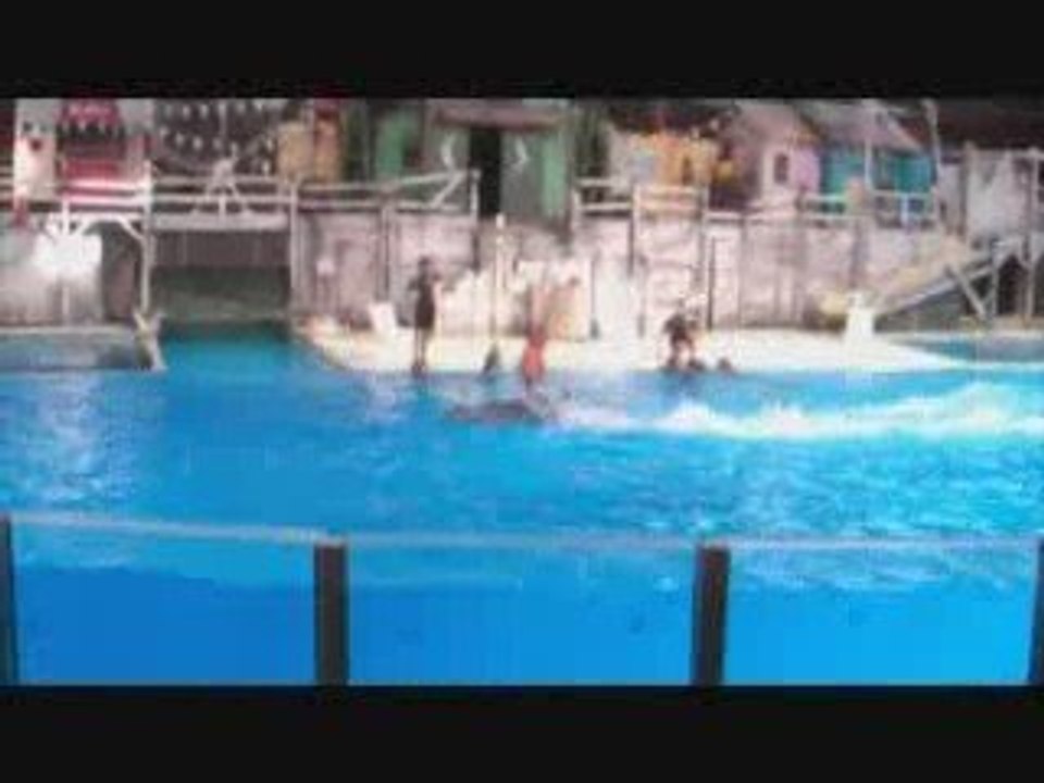 Journée à Bruge aout 2009