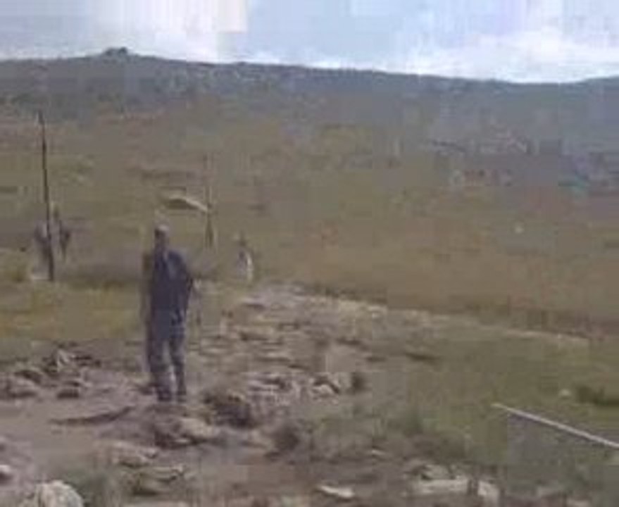 VITOSHA 2