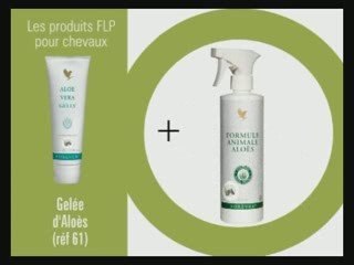 ALOE VERA-PRODUITS POUR LES CHEVAUX