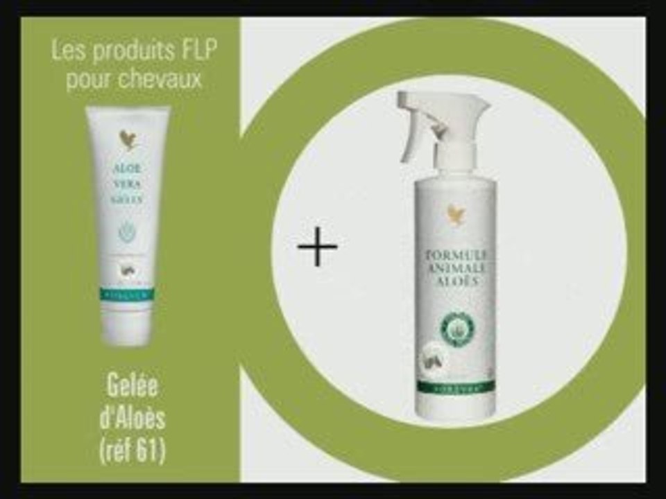 ALOE VERA-PRODUITS POUR LES CHEVAUX
