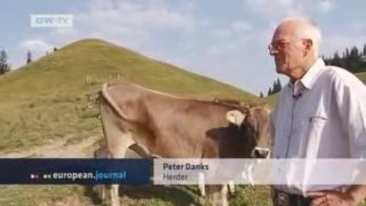 Video of the day | Other peoples cattle