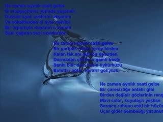 Güller Ağlar İçimde