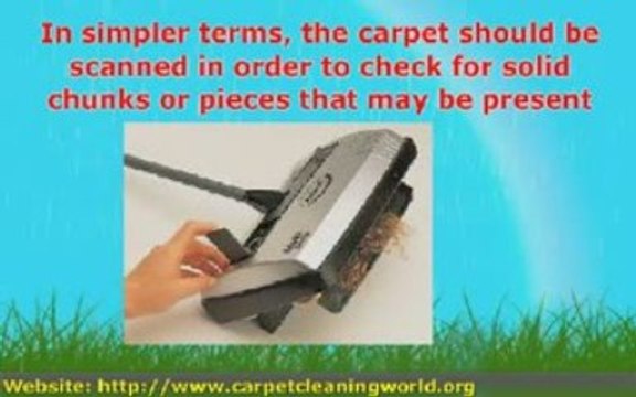 The Details Associated With Dry Carpet Cleaning
