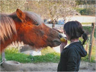 Je vis à travers Elle