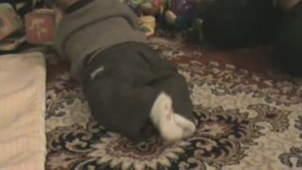 William Stanislaw - 01.03.2009