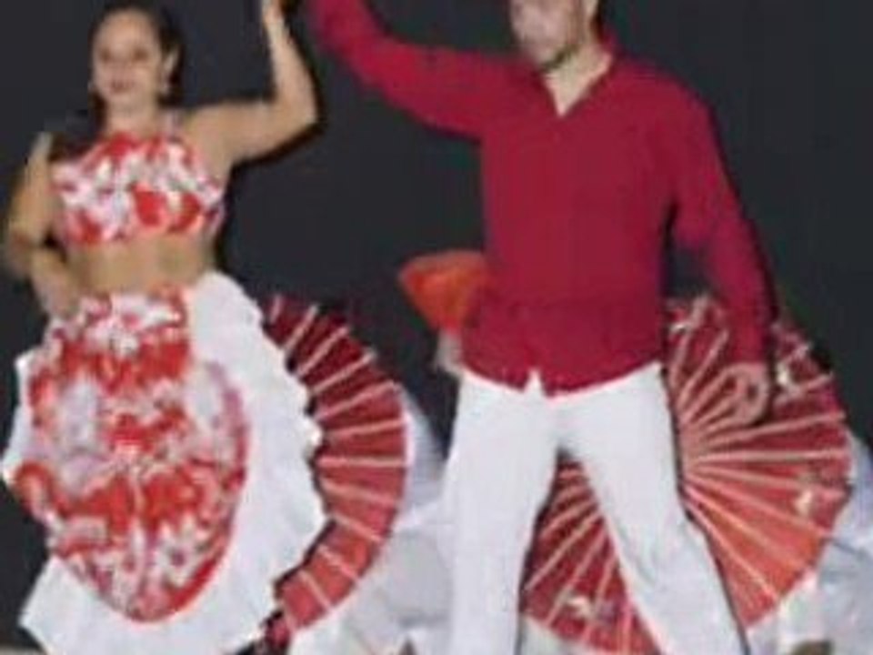 ASIA SEGA  Vanilla Metiss 2009