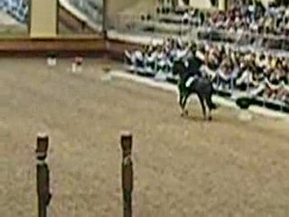 vacances a Saumur 257